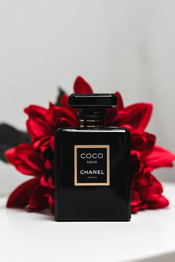 Parfum Eau De Parfum Noir 100ml